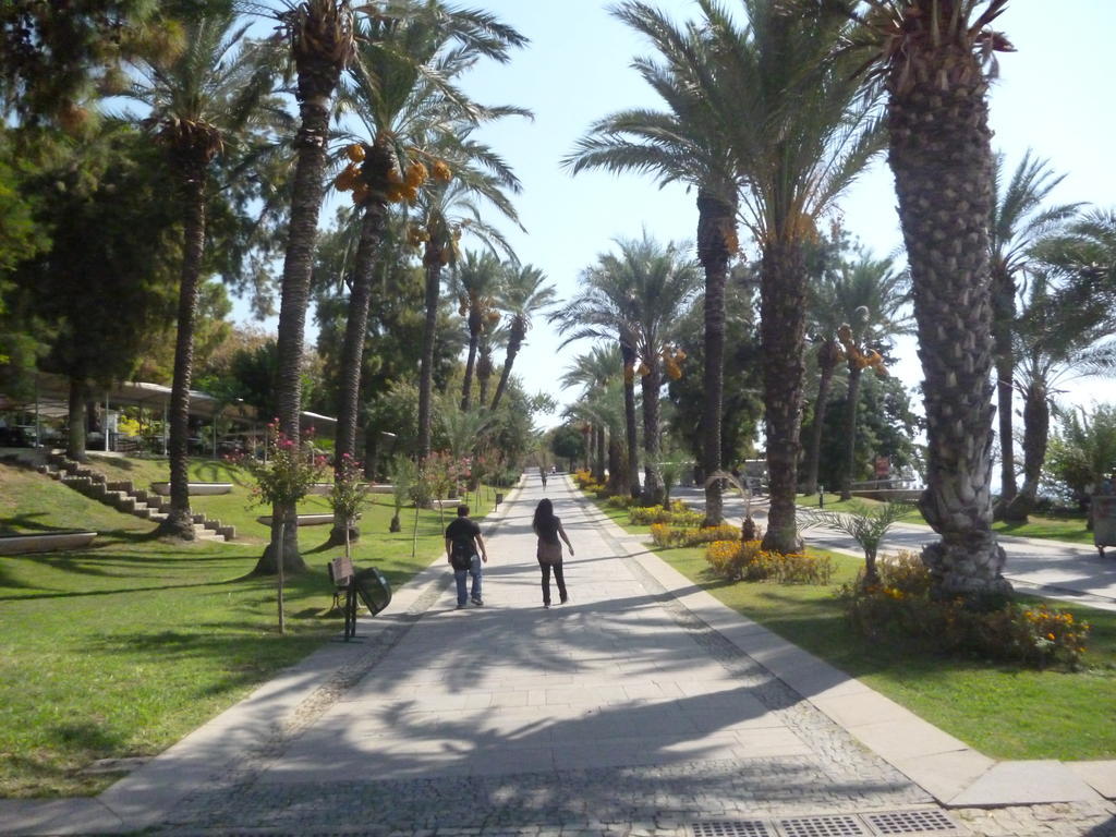 Frankfurt Hotel Antalya Eksteriør bilde